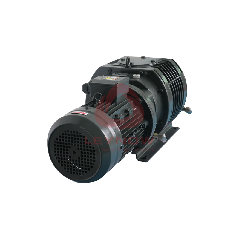 LR 0100 羅茨真空泵